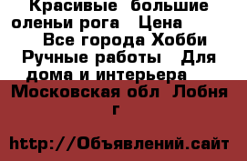 Красивые  большие оленьи рога › Цена ­ 3 000 - Все города Хобби. Ручные работы » Для дома и интерьера   . Московская обл.,Лобня г.